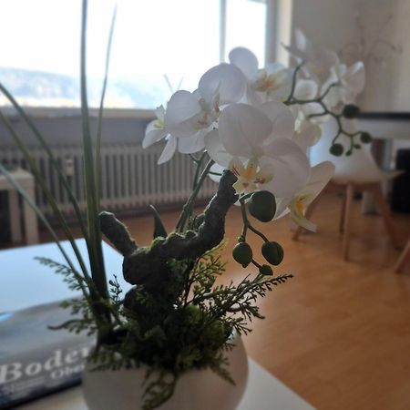 בודמן-לודוויגסהפן Seestudio Mit Toller Aussicht Am Bodensee מראה חיצוני תמונה